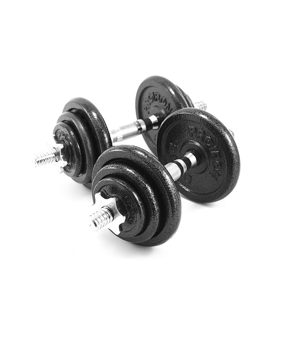 Гантели разборные из чугуна с грифом 2шт. по 10кг ProIron от ГЕЛЕОС