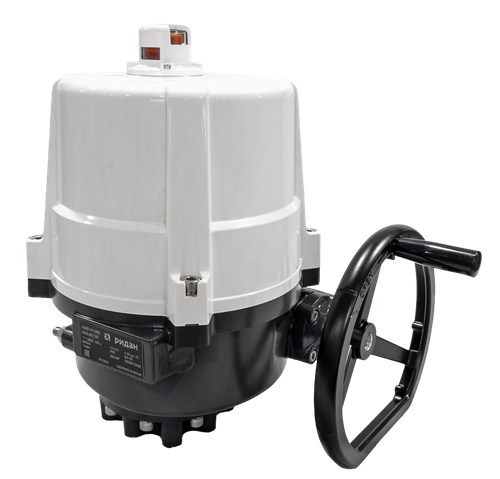 Ридан 065L8183R — Электропривод AMB-H-080 220В без блока управления; IP67; для шаровых кранов RJIP DN200 стандартный проход