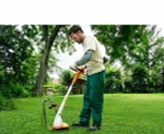 Электротриммер Stihl FSE 31