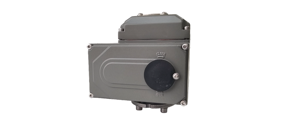 Ридан 082X4850R — Затвор дисковый ЗДМ с резьбовыми проушинами PN16, DN250, диск — нержавеющая сталь, с электроприводом 220В