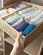 ОРГАНАЙЗЕР для хранения вещей 5 отделений ГЕЛЕОС "Миндаль"/бежевый/ 40х40х13 см