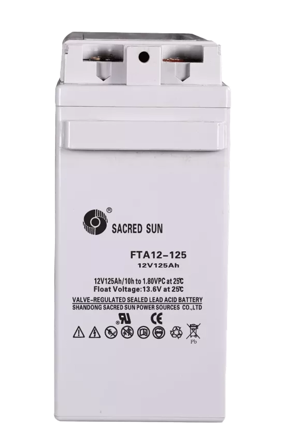 Аккумуляторная батарея Sacred Sun FTA12-125