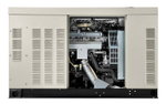 Электростанция газовая Generac RG027 (21.6 кВт) 220 В