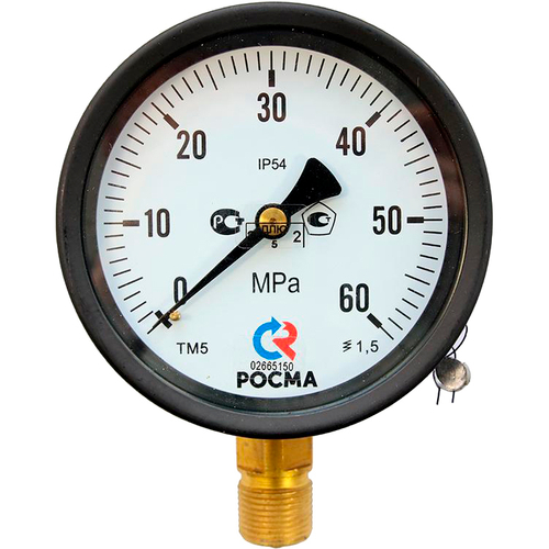Манометр радиальный Росма ТМ-51GР.GG IP54 (G-6GМПа) М2Gх1.5 1.5 общетехнический специального исполнения, 1GGмм, тип - ТМ-51GР, радиальное присоединение, шкала (G-6GМПа), резьба М2Gх1.5, класс точности 1.5