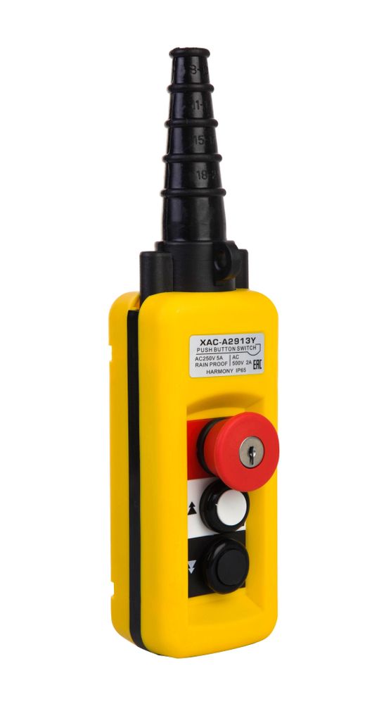 Пульт 2 кн. 2 ст. + СТОП БУТОН + ключ (XАC-A2913Y)