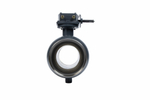 Ридан RJIP Premium 065N0151GR — Кран шаровой WW DN150 PN25 WG (приварной, с редуктором, стандартный проход)
