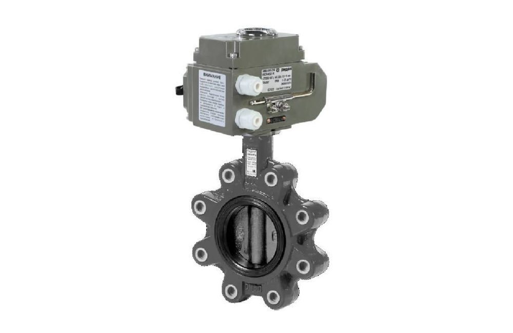 Ридан 082X4862R — Затвор дисковый ЗДМ с резьбовыми проушинами PN16, DN250, диск — чугун, с электроприводом 24В