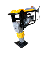 Вибротрамбовка 70 кг, 20 кН (Honda), чугунный корпус TOR RM-80