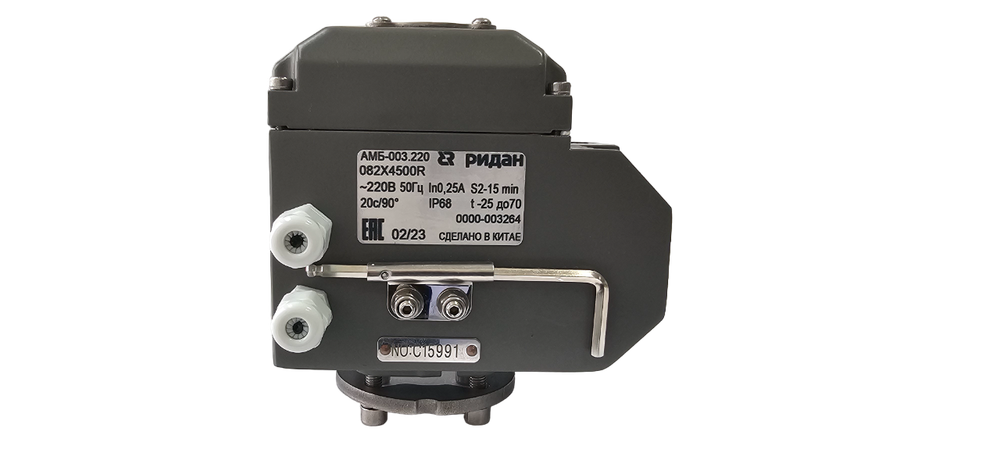 Ридан 082X4838R — Затвор дисковый ЗДМ с резьбовыми проушинами PN16, DN250, диск — чугун, с электроприводом 220В