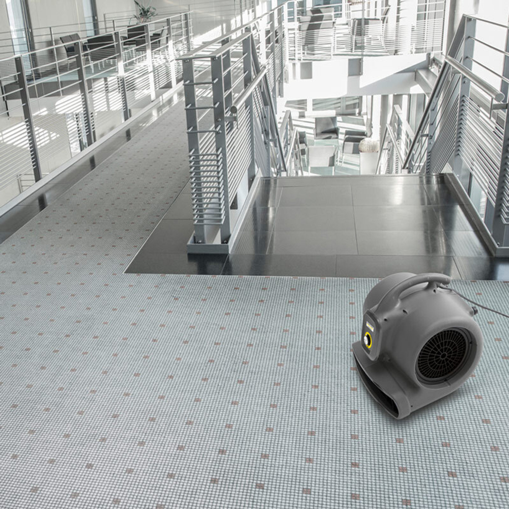 Аппарат для сушки ковров Karcher AB 20 Ec