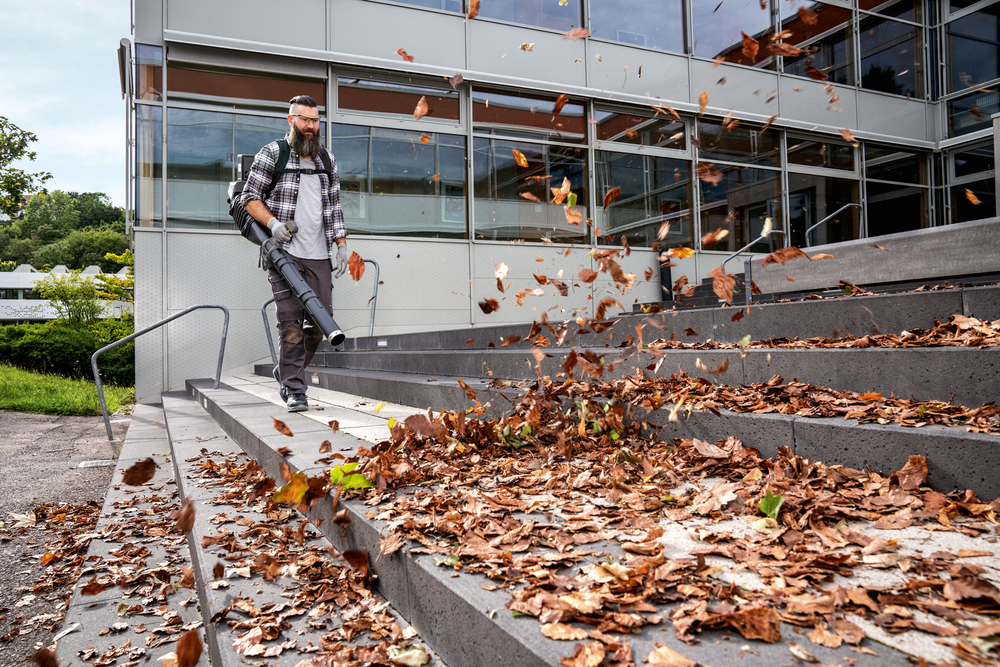 Воздуходувка LBB 1060/36 Bp Pack