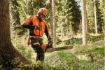 Шина STIHL 25"(63см) 1,6 3/8" 84z Rollomatic E Super Light