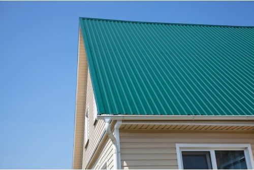 Профнастил C20R 0,5 Satin Matt RAL 6005 зеленый мох