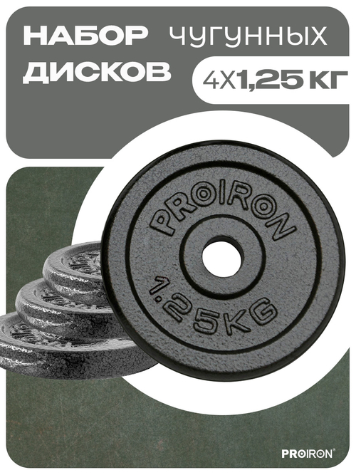 Набор чугунных дисков 4 х 1,25 кг ProIron от ГЕЛЕОС