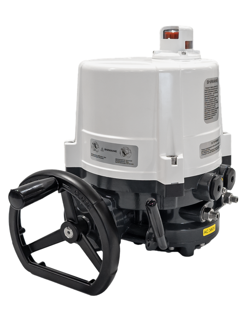 Ридан 065L8182R — Электропривод AMB-H-030 220В без блока управления; IP67; для шаровых кранов RJIP DN125-150 стандартный проход