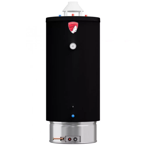 Водонагреватель газовый Federica Bugatti INOX WH200