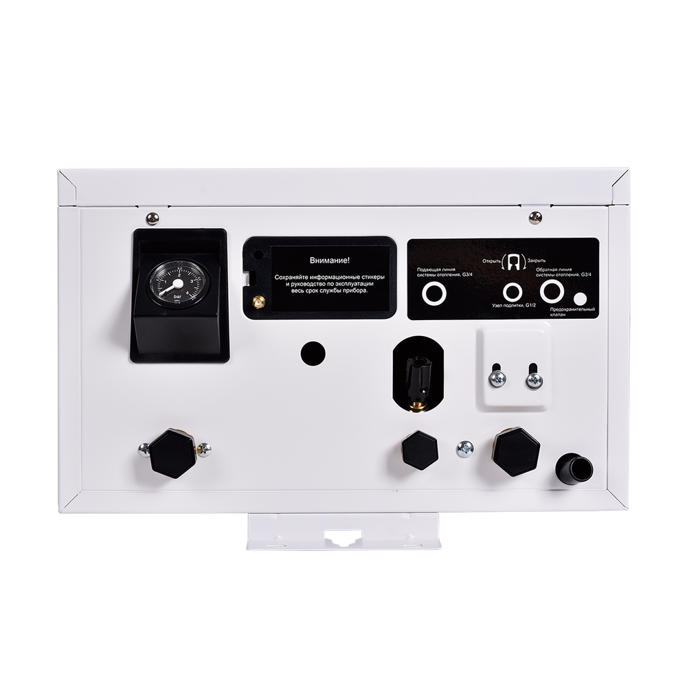 Электрический настенный котел THERMEX Boss 12 Wi-Fi (White)