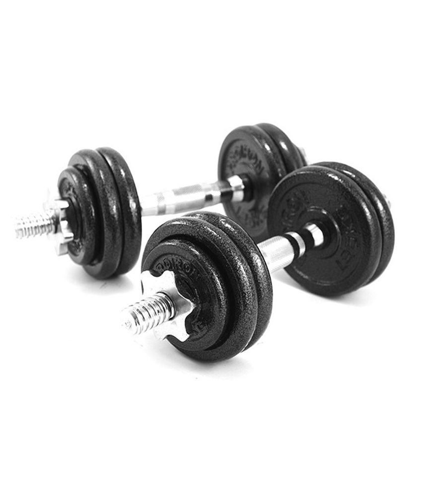 Гантели разборные из чугуна 2шт. по 7,5кг ProIron от ГЕЛЕОС