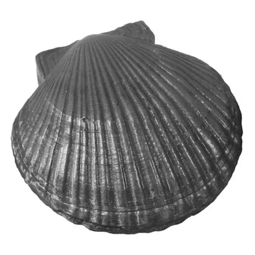 Камень для бани Чугунный "Ракушка большая" КЧР-2, Рубцовск