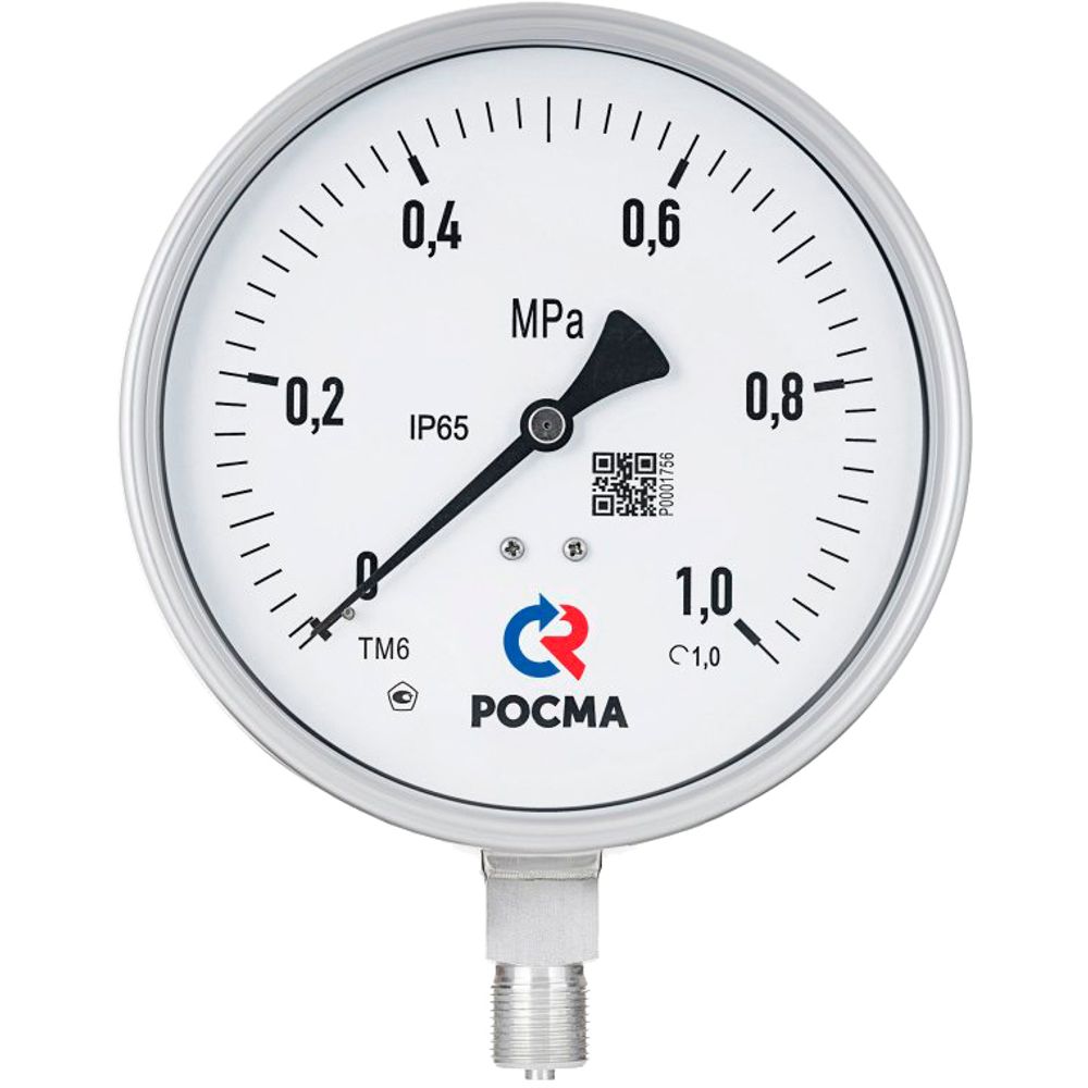 Манометр радиальный Росма ТМ-621Р.GG (G-G.25МПа) М2Gх1.5 Б 1.G виброустойчивый (готовый к гидрозаполнению) коррозионностойкий 15Gмм, тип - ТМ-621Р, радиальное присоединение, шкала G-G.25МПа, резьба М2Gх1.5, безопасное исполнение, класс точности 1.G