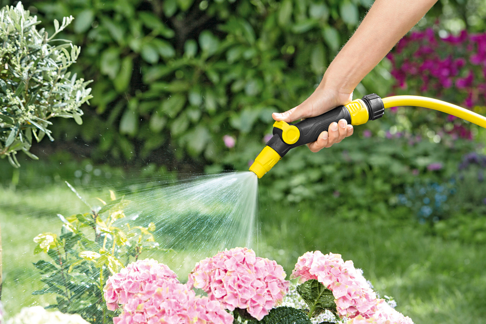 Регулируемый распылитель