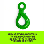 Крюк самозапирающийся с проушиной HITCH, 6-Т8 кл, 1.25 Т