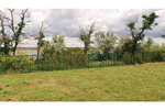 Панель Medium 2,03х2,5 Zn GL